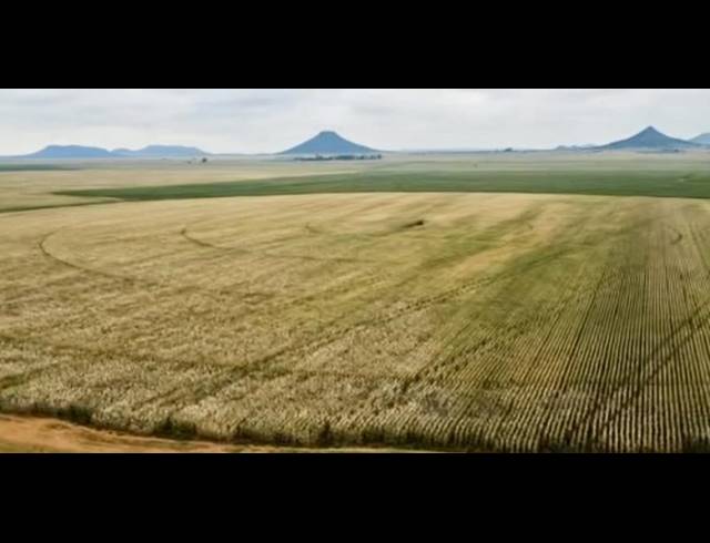 FARM FOR SALE IN BLOEMFONTEIN RURAL
